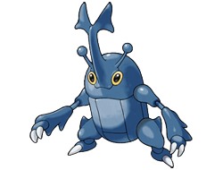 Heracross