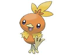 Torchic