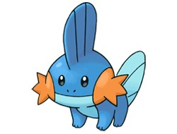 Mudkip