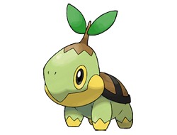 Turtwig