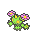 Maractus