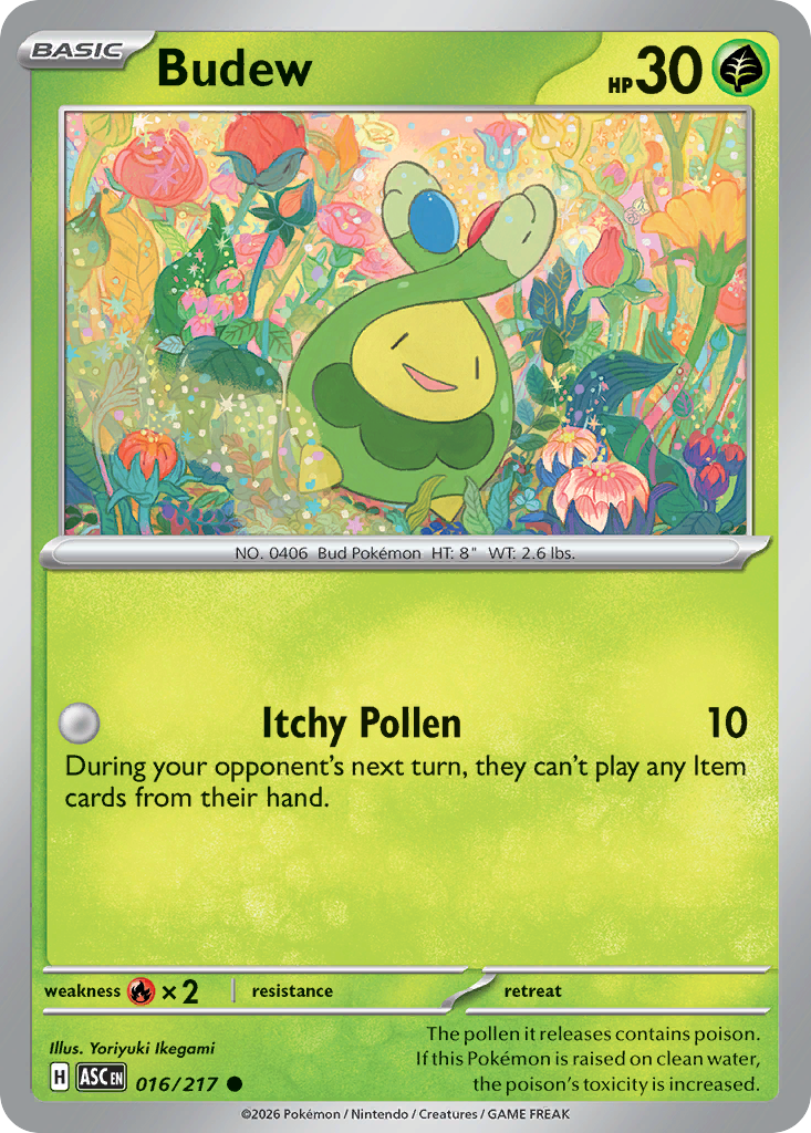 Budew - Ascended Heroes 16